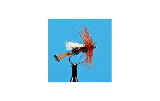 Royal Coachman Trude