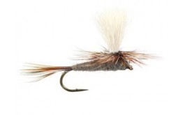 Adams Parachute Superb