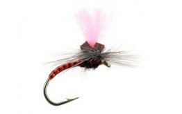 Rusty Synquill Klinkhamer