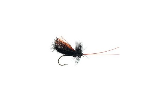 Slickwater Caddis Black
