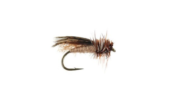 Spent Partridge Caddis
