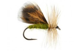 Spent Partridge Caddis