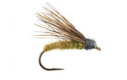 Still Born Elk Caddis