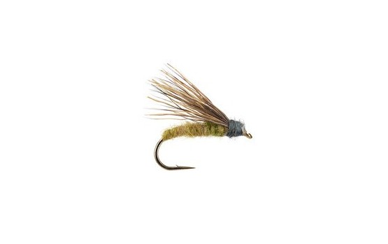 Still Born Elk Caddis