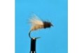 Stillborn Elk Caddis