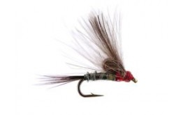 Straight Loopwing CDC Quill Emerger Grey
