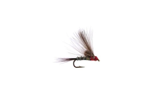 Straight Loopwing CDC Quill Emerger Grey