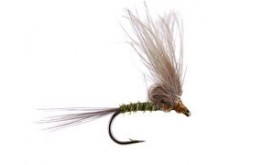 Straight Loopwing CDC Quill Emerger Olive