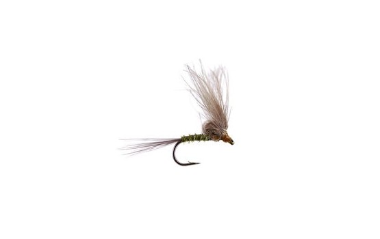 Straight Loopwing CDC Quill Emerger Olive