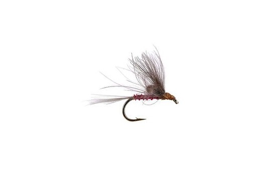 Straight Loopwing CDC Quill Emerger Pink