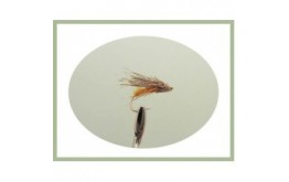 Streaking Caddis