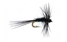 Super Small Black Gnat