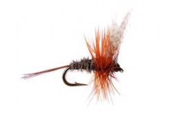 Super Small Dark Fly