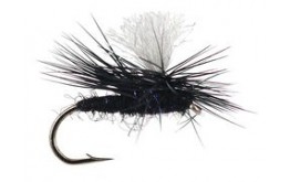 Swishers Dancing Caddis Black