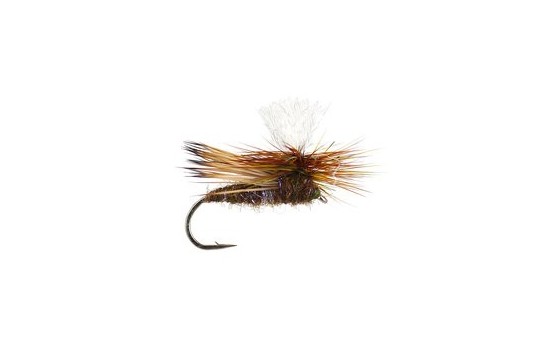 Swishers Dancing Caddis Olive