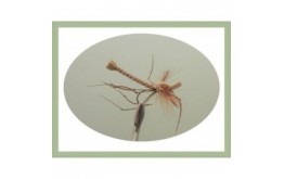 Tan Foam Daddy Long Legs