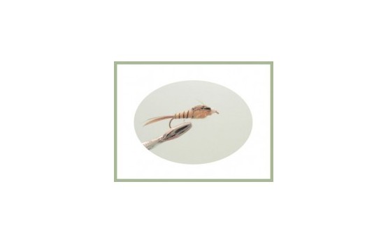 Tan Long shank Mayfly