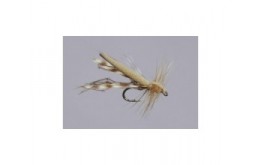 Tan Variant Daddy Long Legs