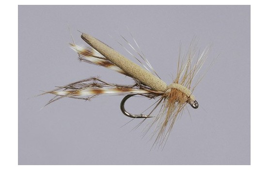 Tan Variant Daddy Long Legs