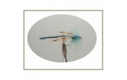 Teal Blue Dragon Fly